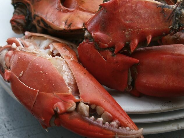 crabs
